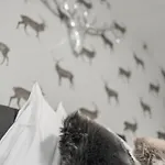 Locanda Underground Atelier Innsbruck